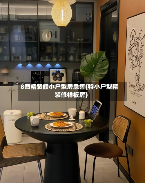 8图精装修小户型房急售(特小户型精装修样板房)
