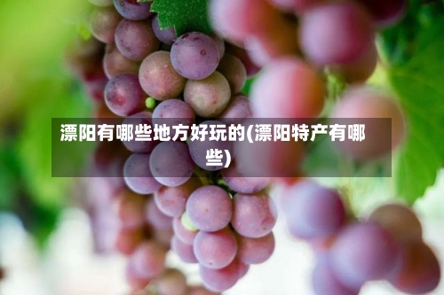 漂阳有哪些地方好玩的(漂阳特产有哪些)