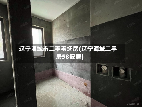 辽宁海城市二手毛坯房(辽宁海城二手房58安居)