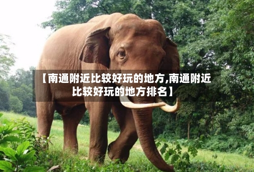 【南通附近比较好玩的地方,南通附近比较好玩的地方排名】