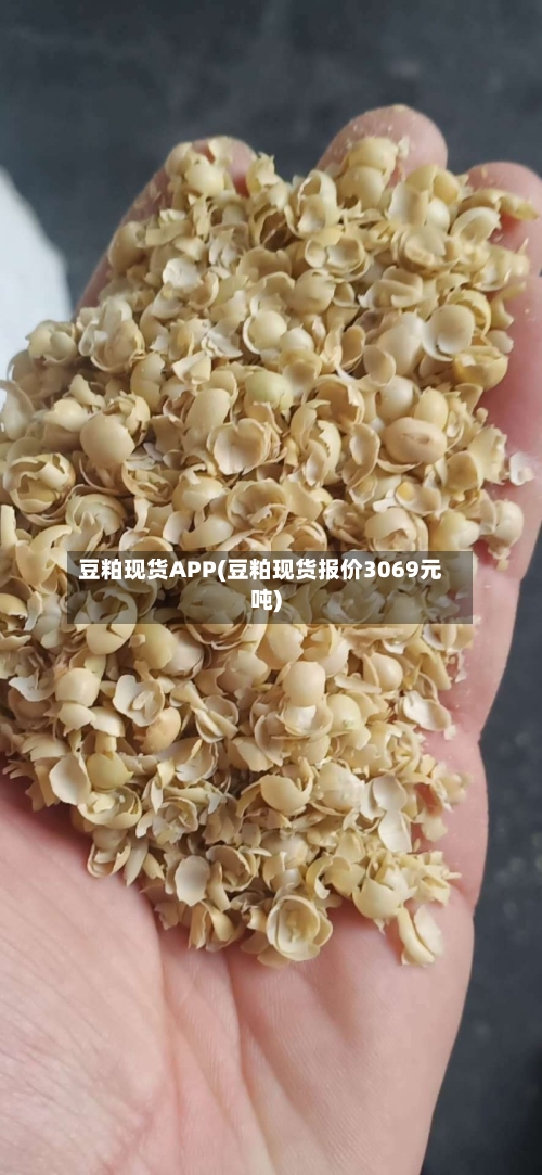 豆粕现货APP(豆粕现货报价3069元吨)