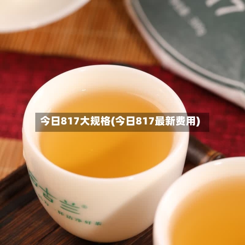 今日817大规格(今日817最新费用)