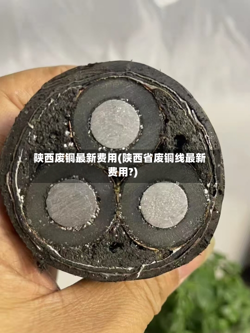 陕西废铜最新费用(陕西省废铜线最新费用?)