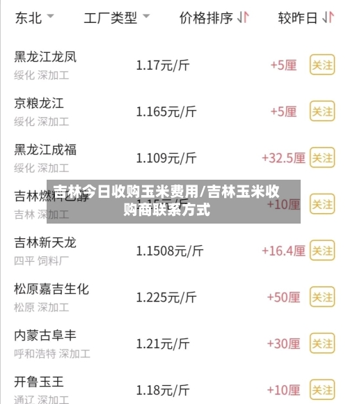 吉林今日收购玉米费用/吉林玉米收购商联系方式