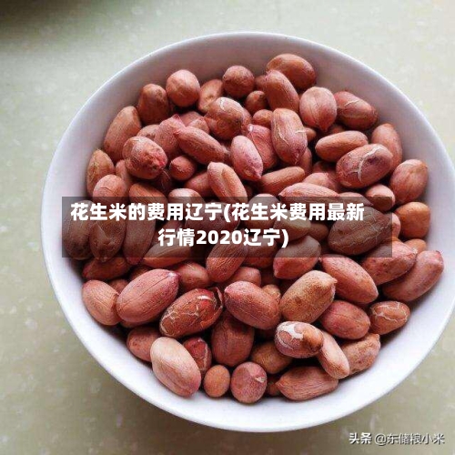花生米的费用辽宁(花生米费用最新行情2020辽宁)