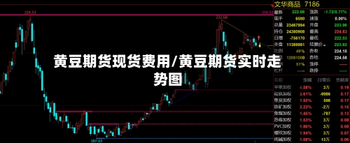 黄豆期货现货费用/黄豆期货实时走势图