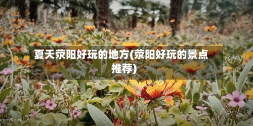 夏天荥阳好玩的地方(荥阳好玩的景点推荐)