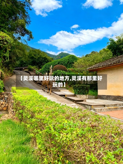 【灵溪哪里好玩的地方,灵溪有那里好玩的】