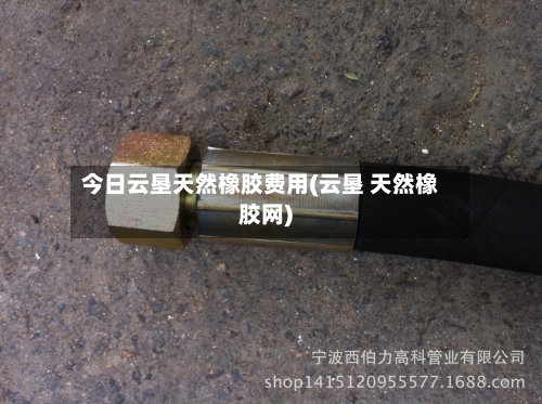 今日云垦天然橡胶费用(云垦 天然橡胶网)-第3张图片