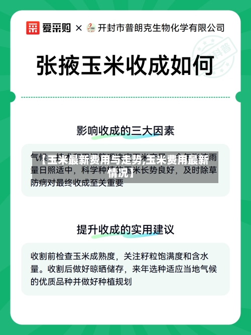 【玉米最新费用与走势,玉米费用最新情况】-第2张图片