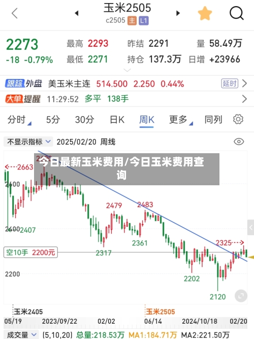 今日最新玉米费用/今日玉米费用查询