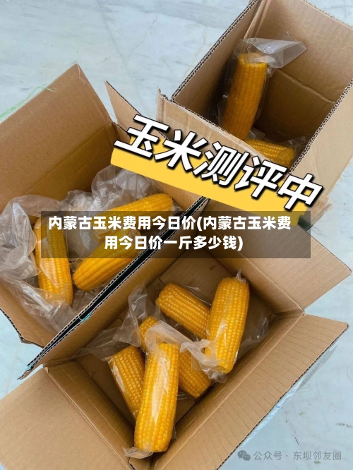 内蒙古玉米费用今日价(内蒙古玉米费用今日价一斤多少钱)