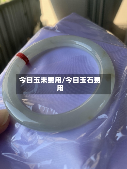 今日玉未费用/今日玉石费用
