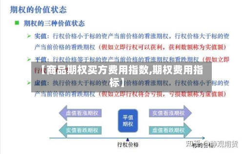 【商品期权买方费用指数,期权费用指标】-第2张图片