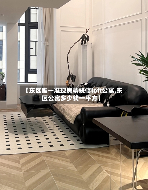 【东区唯一准现房精装修loft公寓,东区公寓多少钱一平方】-第2张图片