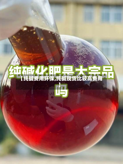 【纯碱费用环保,纯碱现货比较高费用】-第3张图片