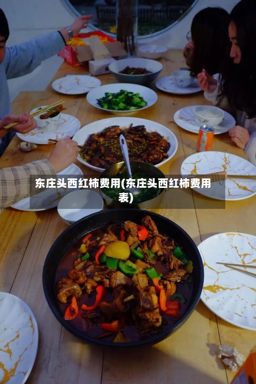 东庄头西红柿费用(东庄头西红柿费用表)