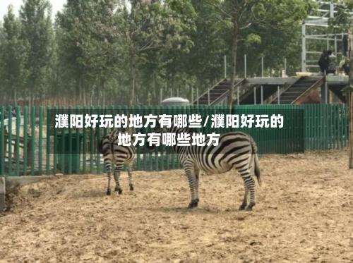 濮阳好玩的地方有哪些/濮阳好玩的地方有哪些地方-第2张图片