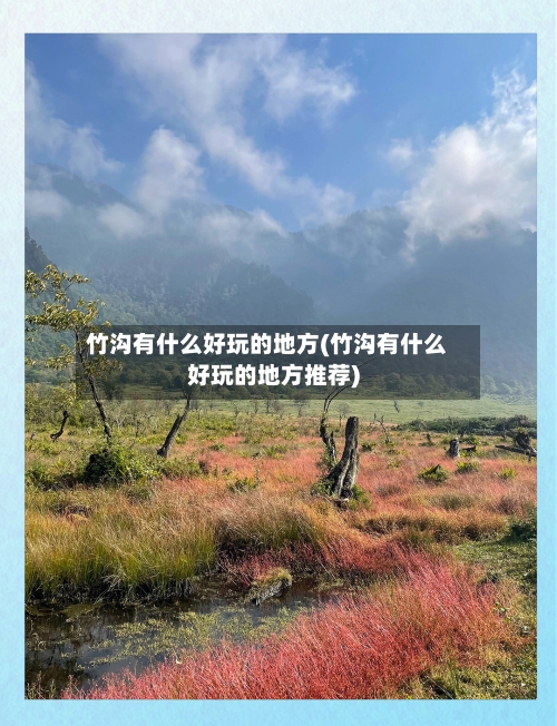 竹沟有什么好玩的地方(竹沟有什么好玩的地方推荐)-第2张图片