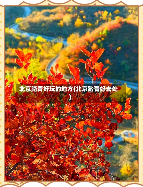 北京踏青好玩的地方(北京踏青好去处)