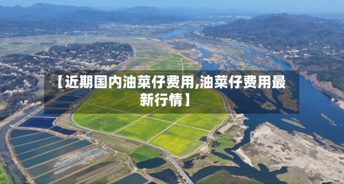 【近期国内油菜仔费用,油菜仔费用最新行情】