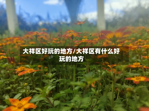 大祥区好玩的地方/大祥区有什么好玩的地方-第2张图片