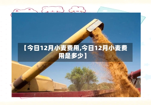 【今日12月小麦费用,今日12月小麦费用是多少】-第3张图片