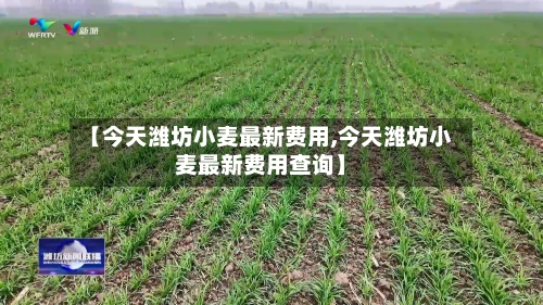 【今天潍坊小麦最新费用,今天潍坊小麦最新费用查询】