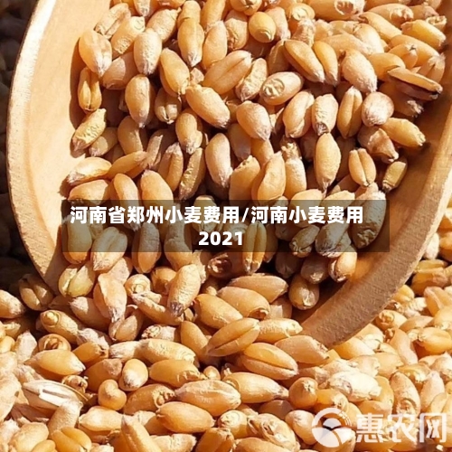 河南省郑州小麦费用/河南小麦费用2021