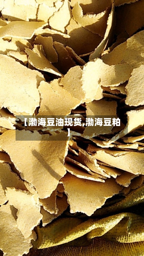 【渤海豆油现货,渤海豆粕】