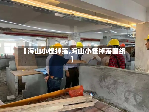 【海山小怪掉落,海山小怪掉落图纸】