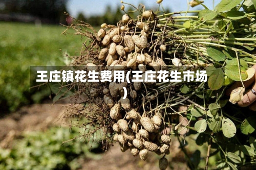 王庄镇花生费用(王庄花生市场)