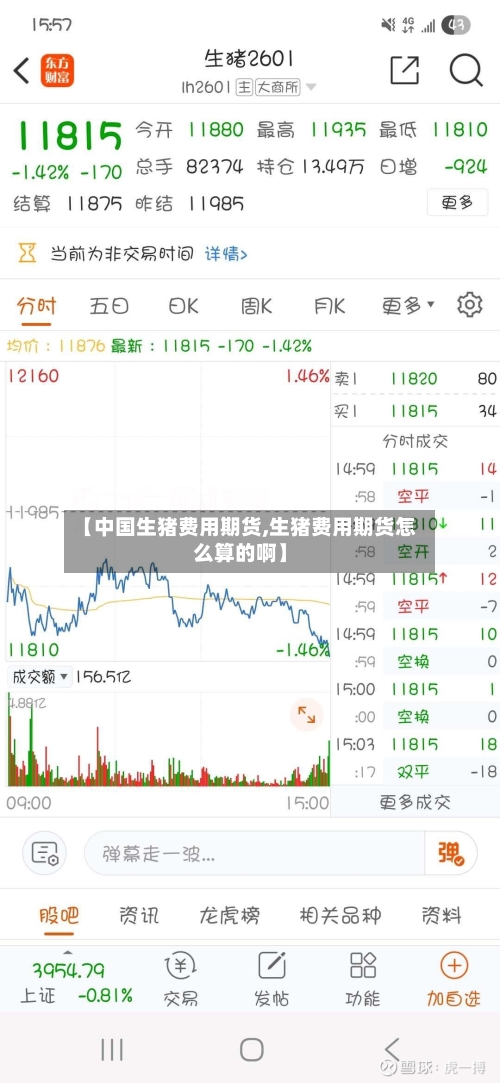 【中国生猪费用期货,生猪费用期货怎么算的啊】