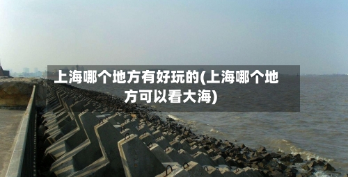上海哪个地方有好玩的(上海哪个地方可以看大海)-第2张图片