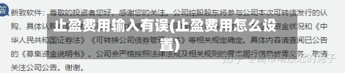 止盈费用输入有误(止盈费用怎么设置)-第2张图片