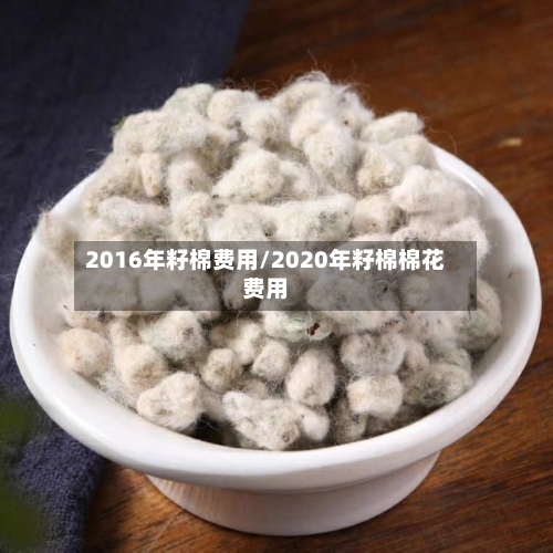 2016年籽棉费用/2020年籽棉棉花费用-第2张图片