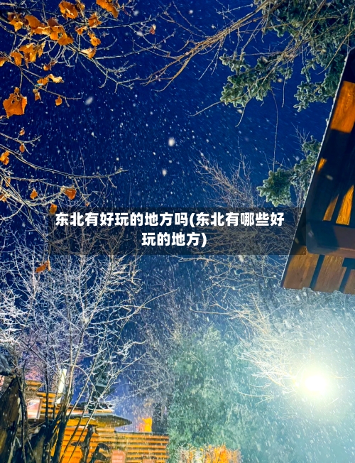 东北有好玩的地方吗(东北有哪些好玩的地方)