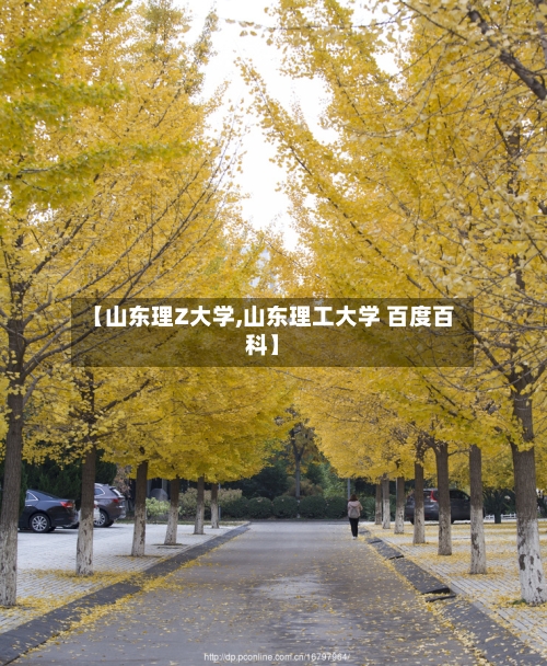 【山东理Z大学,山东理工大学 百度百科】