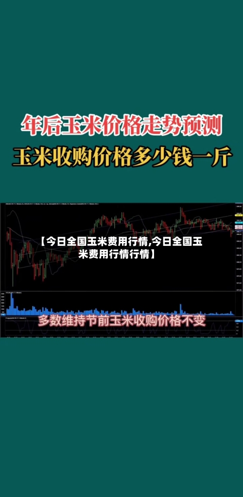 【今日全国玉米费用行情,今日全国玉米费用行情行情】