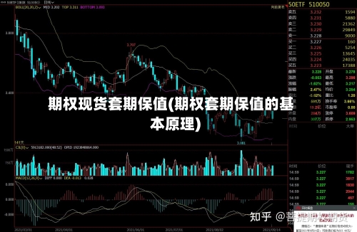 期权现货套期保值(期权套期保值的基本原理)-第3张图片