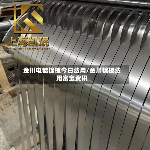 金川电镀镍板今日费用/金川镍板费用富宝资讯