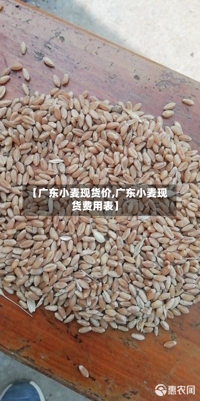 【广东小麦现货价,广东小麦现货费用表】