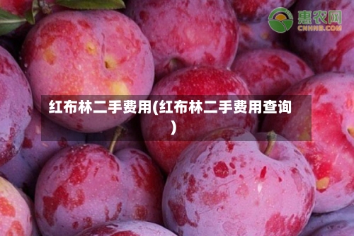 红布林二手费用(红布林二手费用查询)
