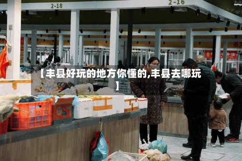 【丰县好玩的地方你懂的,丰县去哪玩】-第2张图片