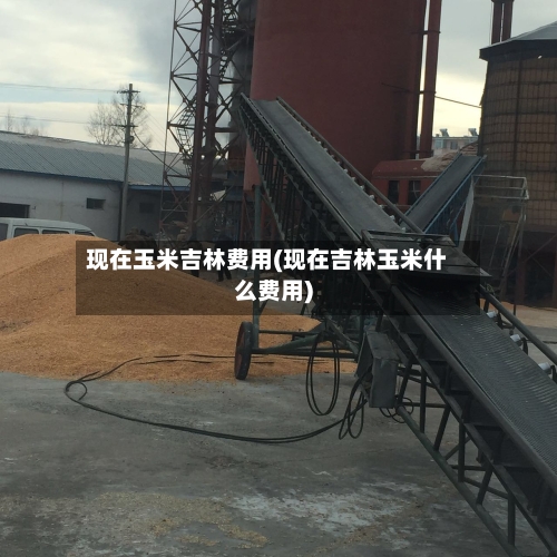 现在玉米吉林费用(现在吉林玉米什么费用)