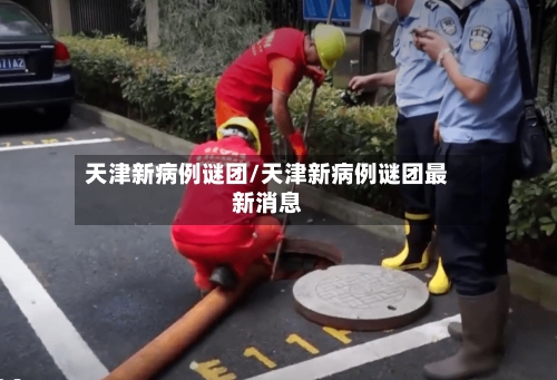 天津新病例谜团/天津新病例谜团最新消息