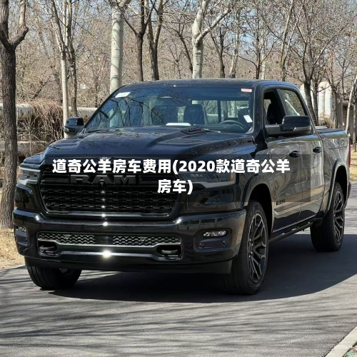 道奇公羊房车费用(2020款道奇公羊房车)-第3张图片