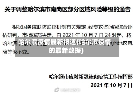 哈尔滨疫情最新报道(哈尔滨疫情的最新数据)-第2张图片