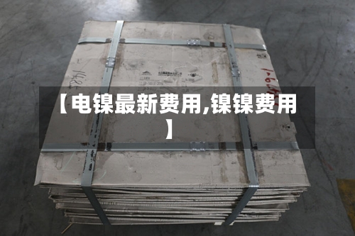 【电镍最新费用,镍镍费用】