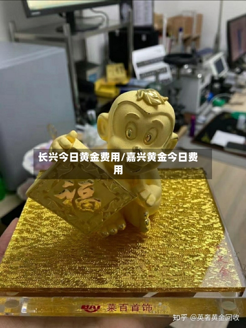 长兴今日黄金费用/嘉兴黄金今日费用